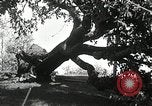 Standbild Twister die Zerstörung Orleans County New York USA, 1936, aus Sekunde 31 historischem Filmmaterial Videoclip 65675029719
