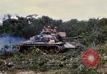 Image of clearing vegetation Bein Hoa South Vietnam, 1967, second 10 stock footage video 65675029758