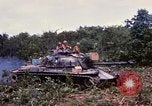 Image of clearing vegetation Bein Hoa South Vietnam, 1967, second 13 stock footage video 65675029758