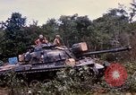 Image of clearing vegetation Bein Hoa South Vietnam, 1967, second 17 stock footage video 65675029758
