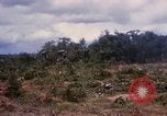 Image of clearing vegetation Bein Hoa South Vietnam, 1967, second 28 stock footage video 65675029758