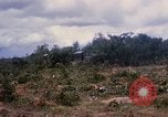 Image of clearing vegetation Bein Hoa South Vietnam, 1967, second 33 stock footage video 65675029758