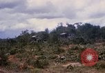 Image of clearing vegetation Bein Hoa South Vietnam, 1967, second 38 stock footage video 65675029758