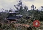 Image of clearing vegetation Bein Hoa South Vietnam, 1967, second 46 stock footage video 65675029758