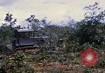 Image of clearing vegetation Bein Hoa South Vietnam, 1967, second 51 stock footage video 65675029758