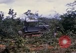 Image of clearing vegetation Bein Hoa South Vietnam, 1967, second 52 stock footage video 65675029758
