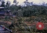 Image of clearing vegetation Bein Hoa South Vietnam, 1967, second 57 stock footage video 65675029758