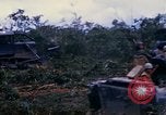 Image of clearing vegetation Bein Hoa South Vietnam, 1967, second 61 stock footage video 65675029758