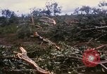 Image of Bulldozers and Rome plows Bein Hoa South Vietnam, 1967, second 10 stock footage video 65675029759