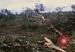 Image of Bulldozers and Rome plows Bein Hoa South Vietnam, 1967, second 11 stock footage video 65675029759