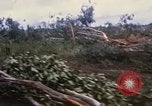 Image of Bulldozers and Rome plows Bein Hoa South Vietnam, 1967, second 13 stock footage video 65675029759