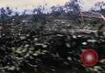 Image of Bulldozers and Rome plows Bein Hoa South Vietnam, 1967, second 16 stock footage video 65675029759