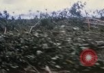 Image of Bulldozers and Rome plows Bein Hoa South Vietnam, 1967, second 17 stock footage video 65675029759