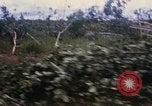 Image of Bulldozers and Rome plows Bein Hoa South Vietnam, 1967, second 18 stock footage video 65675029759