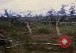 Image of Bulldozers and Rome plows Bein Hoa South Vietnam, 1967, second 20 stock footage video 65675029759