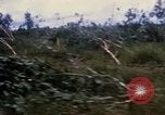 Image of Bulldozers and Rome plows Bein Hoa South Vietnam, 1967, second 21 stock footage video 65675029759