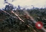 Image of Bulldozers and Rome plows Bein Hoa South Vietnam, 1967, second 22 stock footage video 65675029759