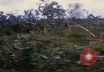Image of Bulldozers and Rome plows Bein Hoa South Vietnam, 1967, second 24 stock footage video 65675029759