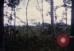 Image of Bulldozers and Rome plows Bein Hoa South Vietnam, 1967, second 27 stock footage video 65675029759