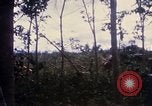 Image of Bulldozers and Rome plows Bein Hoa South Vietnam, 1967, second 28 stock footage video 65675029759