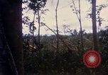Image of Bulldozers and Rome plows Bein Hoa South Vietnam, 1967, second 29 stock footage video 65675029759