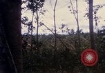 Image of Bulldozers and Rome plows Bein Hoa South Vietnam, 1967, second 30 stock footage video 65675029759