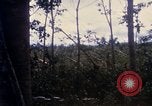 Image of Bulldozers and Rome plows Bein Hoa South Vietnam, 1967, second 32 stock footage video 65675029759