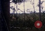 Image of Bulldozers and Rome plows Bein Hoa South Vietnam, 1967, second 33 stock footage video 65675029759