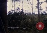 Image of Bulldozers and Rome plows Bein Hoa South Vietnam, 1967, second 35 stock footage video 65675029759