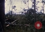 Image of Bulldozers and Rome plows Bein Hoa South Vietnam, 1967, second 37 stock footage video 65675029759