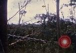 Image of Bulldozers and Rome plows Bein Hoa South Vietnam, 1967, second 38 stock footage video 65675029759