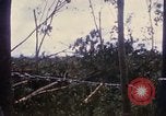 Image of Bulldozers and Rome plows Bein Hoa South Vietnam, 1967, second 39 stock footage video 65675029759
