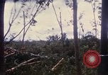 Image of Bulldozers and Rome plows Bein Hoa South Vietnam, 1967, second 40 stock footage video 65675029759