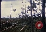 Image of Bulldozers and Rome plows Bein Hoa South Vietnam, 1967, second 41 stock footage video 65675029759