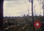 Image of Bulldozers and Rome plows Bein Hoa South Vietnam, 1967, second 43 stock footage video 65675029759