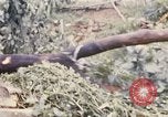Image of Bulldozers and Rome plows Bein Hoa South Vietnam, 1967, second 53 stock footage video 65675029759