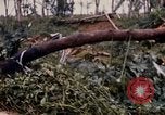 Image of Bulldozers and Rome plows Bein Hoa South Vietnam, 1967, second 54 stock footage video 65675029759