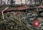 Image of Bulldozers and Rome plows Bein Hoa South Vietnam, 1967, second 55 stock footage video 65675029759