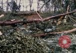 Image of Bulldozers and Rome plows Bein Hoa South Vietnam, 1967, second 56 stock footage video 65675029759