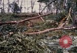 Image of Bulldozers and Rome plows Bein Hoa South Vietnam, 1967, second 57 stock footage video 65675029759