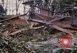 Image of Bulldozers and Rome plows Bein Hoa South Vietnam, 1967, second 60 stock footage video 65675029759