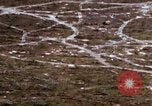 Image effacé zone forestière Bein Hoa le Vietnam du Sud, 1967, de la seconde 54 séquences d'archives historiques vidéo 65675029761