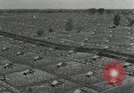 Standbild mink Pelz Farm Thiensville Wisconsin USA, 1934, aus Sekunde 4 historischem Filmmaterial Videoclip 65675029774
