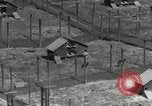 Standbild mink Pelz Farm Thiensville Wisconsin USA, 1934, aus Sekunde 10 historischem Filmmaterial Videoclip 65675029774