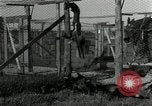 Standbild mink Pelz Farm Thiensville Wisconsin USA, 1934, aus Sekunde 15 historischem Filmmaterial Videoclip 65675029774