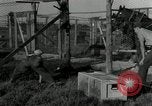 Standbild mink Pelz Farm Thiensville Wisconsin USA, 1934, aus Sekunde 19 historischem Filmmaterial Videoclip 65675029774