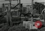 Standbild mink Pelz Farm Thiensville Wisconsin USA, 1934, aus Sekunde 21 historischem Filmmaterial Videoclip 65675029774