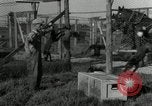 Standbild mink Pelz Farm Thiensville Wisconsin USA, 1934, aus Sekunde 22 historischem Filmmaterial Videoclip 65675029774