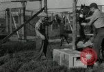 Standbild mink Pelz Farm Thiensville Wisconsin USA, 1934, aus Sekunde 23 historischem Filmmaterial Videoclip 65675029774