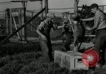 Standbild mink Pelz Farm Thiensville Wisconsin USA, 1934, aus Sekunde 28 historischem Filmmaterial Videoclip 65675029774